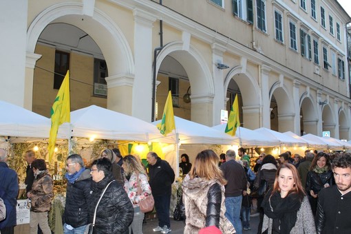 Imperia: a un mese da Olioliva è polemica tra l'amministrazione e PromImperia sulla selezione degli espositori Imperia: a un mese da Olioliva è polemica tra l'amministrazione e PromImperia sulla selezione degli espositori