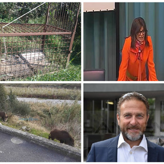 Gabbie anti cinghiali in arrivo a Imperia, l’assessore Gandolfo: “Gli esemplari catturati trasferiti in aree apposite” Gabbie anti cinghiali in arrivo a Imperia, l’assessore Gandolfo: “Gli esemplari catturati trasferiti in aree apposite”