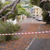 Ospedaletti, la quiete dopo la tempesta: "In corso qualche intervento, ma il peggio è passato" (Foto) Ospedaletti, la quiete dopo la tempesta: "In corso qualche intervento, ma il peggio è passato" (Foto)