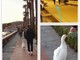 "A spasso con Achille", a Santo Stefano e Riva Ligure l'oca è un animale da compagnia: la storia (Foto) "A spasso con Achille", a Santo Stefano e Riva Ligure l'oca è un animale da compagnia: la storia (Foto)