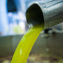 Bordighera, venerdì 4 settembre ultimo appuntamento con "Olio di oliva: oro da gustare" insieme a Carassale e Beranger Bordighera, venerdì 4 settembre ultimo appuntamento con "Olio di oliva: oro da gustare" insieme a Carassale e Beranger