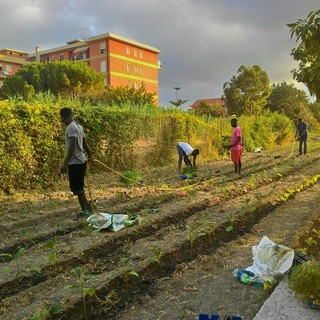 I migranti di San Bartolomeo al Mare curano un orto insieme all’insegnante in pensione Jacopo Damonte “Un’emozione lavorare con loro”
