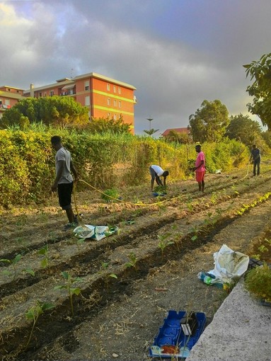 I migranti di San Bartolomeo al Mare curano un orto insieme all’insegnante in pensione Jacopo Damonte “Un’emozione lavorare con loro”