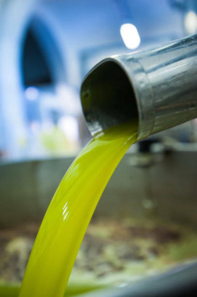 Bordighera, venerdì 4 settembre ultimo appuntamento con "Olio di oliva: oro da gustare" insieme a Carassale e Beranger Bordighera, venerdì 4 settembre ultimo appuntamento con "Olio di oliva: oro da gustare" insieme a Carassale e Beranger