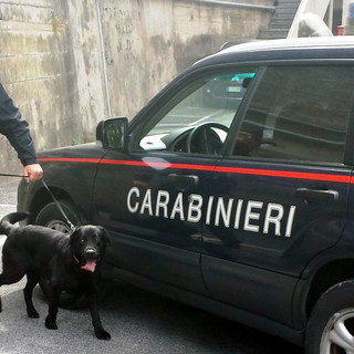 Sanremo: sgominato traffico internazionale di droga, arresti e perquisizioni dei Carabinieri matuziani Sanremo: sgominato traffico internazionale di droga, arresti e perquisizioni dei Carabinieri matuziani