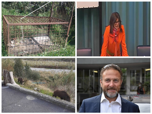 Gabbie anti cinghiali in arrivo a Imperia, l’assessore Gandolfo: “Gli esemplari catturati trasferiti in aree apposite” Gabbie anti cinghiali in arrivo a Imperia, l’assessore Gandolfo: “Gli esemplari catturati trasferiti in aree apposite”