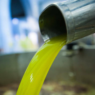Bordighera, venerdì 4 settembre ultimo appuntamento con "Olio di oliva: oro da gustare" insieme a Carassale e Beranger Bordighera, venerdì 4 settembre ultimo appuntamento con "Olio di oliva: oro da gustare" insieme a Carassale e Beranger