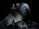 Rappresentazione dell'opera 'Orlando' al Teatro dell'Opera di Nizza