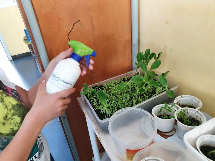 Pieve di Teco: le cinque classi della Scuola Primaria a lezione di orticoltura (foto) Pieve di Teco: le cinque classi della Scuola Primaria a lezione di orticoltura (foto)