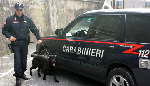 Sanremo: sgominato traffico internazionale di droga, arresti e perquisizioni dei Carabinieri matuziani Sanremo: sgominato traffico internazionale di droga, arresti e perquisizioni dei Carabinieri matuziani