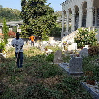 Imperia: questa mattina ultimati i lavori di pulizia nel cimitero di Porto Maurizio Imperia: questa mattina ultimati i lavori di pulizia nel cimitero di Porto Maurizio
