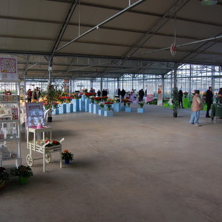 Camporosso: oggi e domani 'porte aperte' all'azienda Biancheri Creations