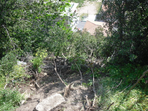 Ventimiglia: auto esce di strada, guidatore 71enne lievemente ferito