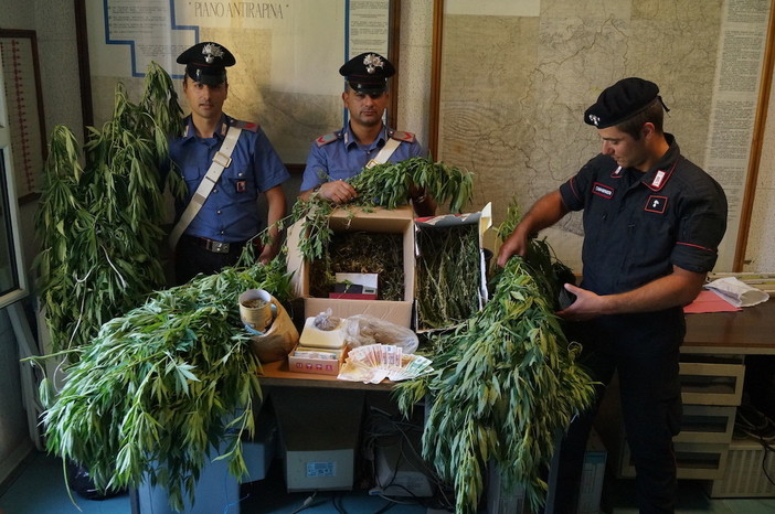 Pigna: due No Borders arrestati per coltivazione di marijuana, uno è già tornato in libertà, la difesa? "Uso terapeutico"