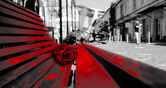 Il Ponente ligure si mobilita per il 25 novembre: una giornata di eventi contro la violenza sulle donne Il Ponente ligure si mobilita per il 25 novembre: una giornata di eventi contro la violenza sulle donne