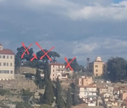 Il mistero del verde storico di Sanremo: le associazioni chiedono chiarezza sulle perizie degli alberi alla Madonna della Costa Il mistero del verde storico di Sanremo: le associazioni chiedono chiarezza sulle perizie degli alberi alla Madonna della Costa