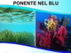 San Lorenzo al Mare: domani la rassegna ‘Ponente nel Blu’, appuntamento con la rassegna ideata e promossa dall'Associazione InfoRmare San Lorenzo al Mare: domani la rassegna ‘Ponente nel Blu’, appuntamento con la rassegna ideata e promossa dall'Associazione InfoRmare