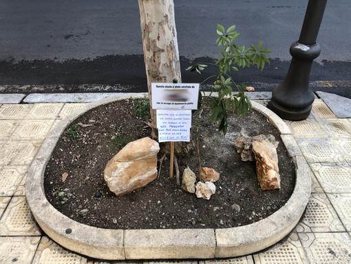 Sanremo: messaggi a suon di cartellini, è polemica per un'aiuola 'adottata' in corso Garibaldi