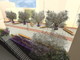 Centro Storico Ventimiglia pronto a rinascere: aggiudicati lavori di oltre 600 mila euro per restyling piazza Borea e Belvedere San Michele Centro Storico Ventimiglia pronto a rinascere: aggiudicati lavori di oltre 600 mila euro per restyling piazza Borea e Belvedere San Michele