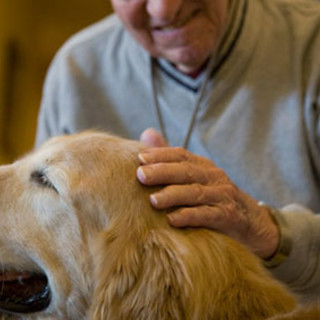 Giornata internazionale diritti animali: Regione Liguria promuove l’adozione consapevole e la Pet Therapy Giornata internazionale diritti animali: Regione Liguria promuove l’adozione consapevole e la Pet Therapy