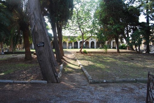 Sanremo: quattro cipressi nei cimiteri della Foce e di Poggio a rischio crollo, saranno abbattuti