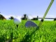 Golf: i risultati del World Caribbean Golf Challenge al Golf degli Ulivi di Sanremo