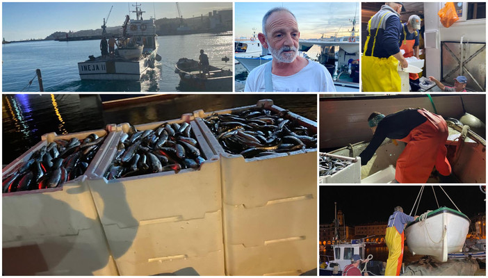 "E la chiamano Estate...", notte con i pescatori del porto di Oneglia (foto) "E la chiamano Estate...", notte con i pescatori del porto di Oneglia (foto)