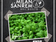 Da domani a sabato prossimo la 'Milano Sanremo del Gusto' fa tappa nella città dei fiori Da domani a sabato prossimo la 'Milano Sanremo del Gusto' fa tappa nella città dei fiori
