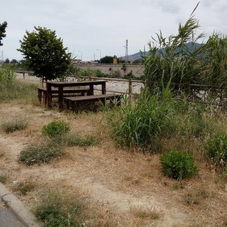 Detrazione del 36% per chi si prende cura del verde: in Liguria oltre 800 imprese interessate