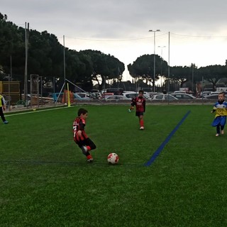 Calcio, ottimi risultati per le squadre della Polisportiva Vallecrosia Academy (Foto) Calcio, ottimi risultati per le squadre della Polisportiva Vallecrosia Academy (Foto)