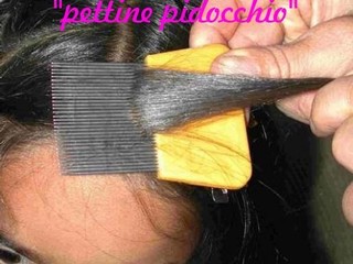 il pettine per i pidocchi il pettine per i pidocchi
