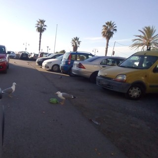 Ventimiglia, "sporcizia e degrado nel parcheggio sul lungomare": la segnalazione Ventimiglia, "sporcizia e degrado nel parcheggio sul lungomare": la segnalazione