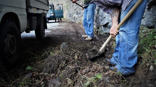 Triora: volontari in azione a Verdeggia, ripulite le cunette della strada provinciale Triora: volontari in azione a Verdeggia, ripulite le cunette della strada provinciale