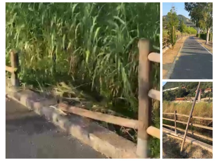 Manutenzione di pista ciclabile e aree pubbliche, SìAmo Camporosso: "Chiediamo maggiore programmazione" (Video) Manutenzione di pista ciclabile e aree pubbliche, SìAmo Camporosso: "Chiediamo maggiore programmazione" (Video)