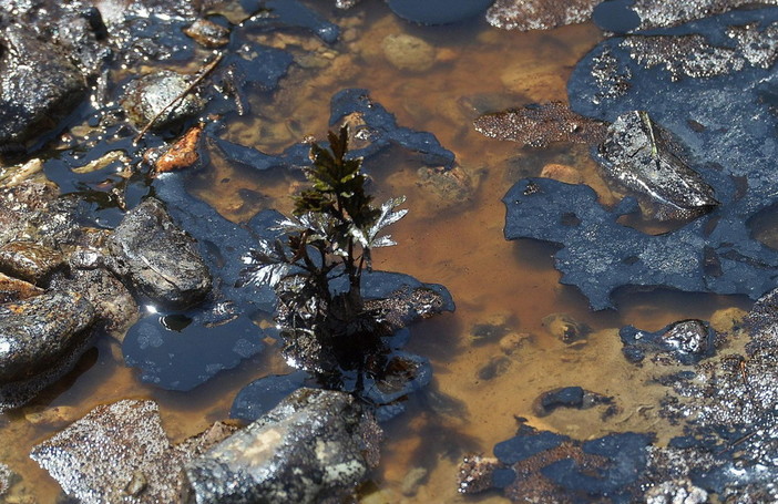 Chiare, fresche e dolci acque petrolifere