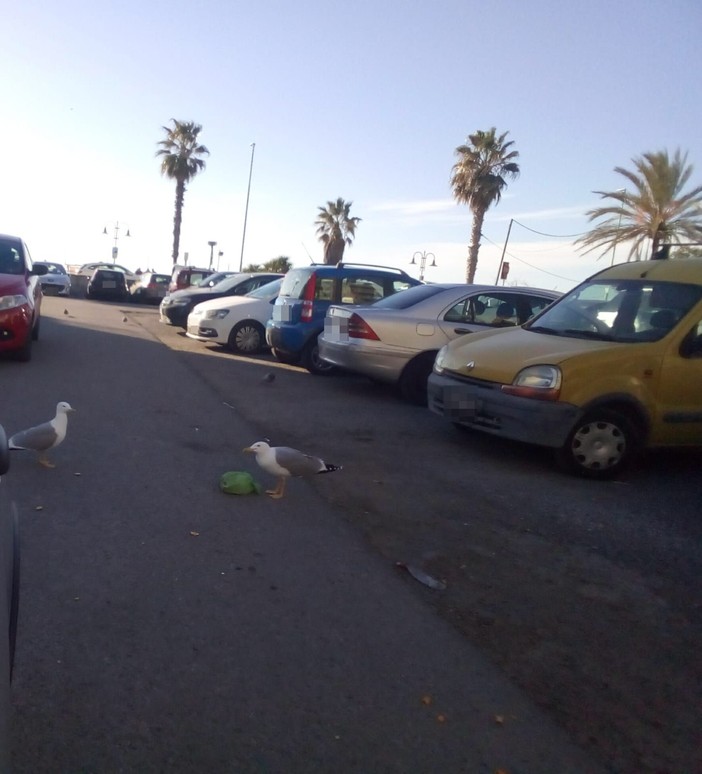 Ventimiglia, "sporcizia e degrado nel parcheggio sul lungomare": la segnalazione Ventimiglia, "sporcizia e degrado nel parcheggio sul lungomare": la segnalazione