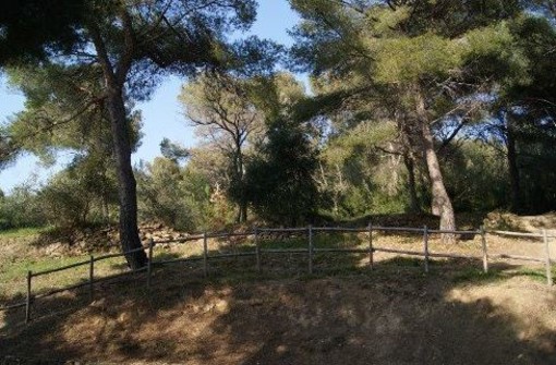 Cervo: per il maltempo, rinviata al 2 giugno la giornata sociale prevista per domani