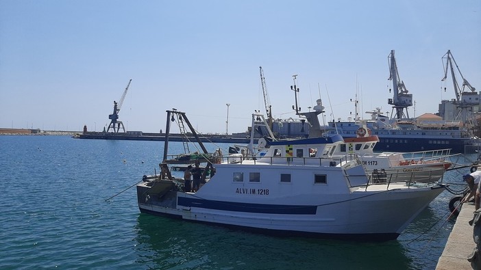 Pesca: Piana “Ue non può distruggere il settore, urgente difendere le attività della pesca italiana”