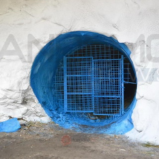 Imperia: Di Muro (Lega) “Pronta interrogazione a ministro De Micheli su lavori sulla Statale 28 del Nava”