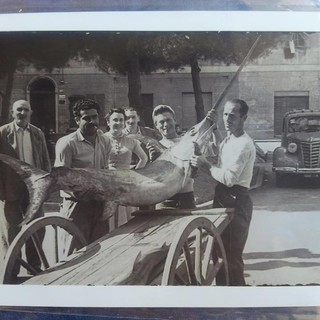 Contro i provvedimenti legislativi che penalizzano la pesca, i pescatori liguri proclamano lo stato di agitazione