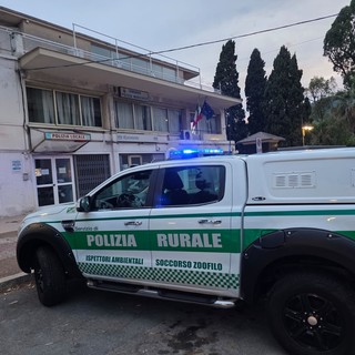 A Ospedaletti parte il nuovo servizio integrato di polizia rurale, guardia parchi e ispettori ambientali: salvato un volpino (Video)