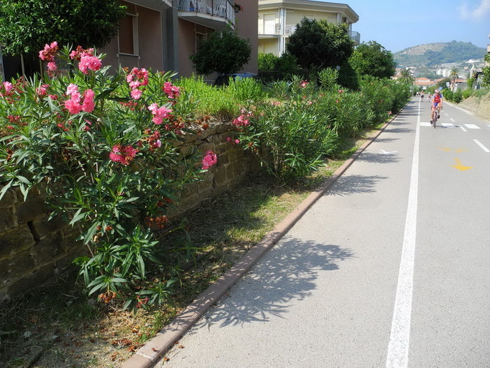 Un tratto della pista ciclabile a Riva Ligure.