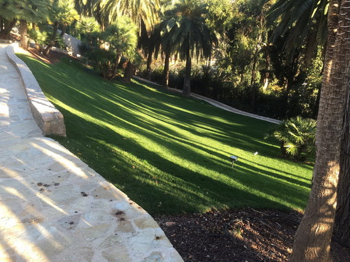 Affidati alla Pro Garden: da Marsiglia a Savona per lavori a tutto tondo nei settori del giardinaggio e dell'edilizia