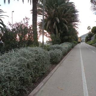 Immagine generica della pista ciclabile