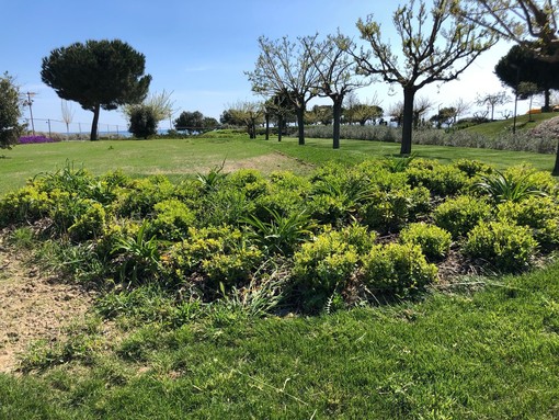 Imperia Rinasce: "Parco urbano paradiso del birdwatching, opportunità da valorizzare"