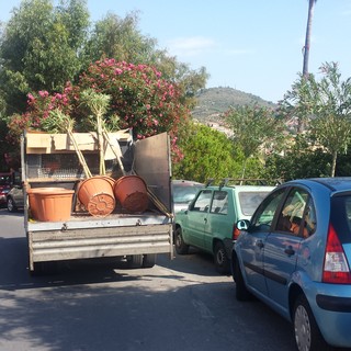 Imperia: iniziata opera di piantumazione di alcune alberature di viali