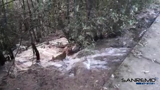Grossa perdita d'acqua tra Taggia e Sanremo: litri d'acqua invadono la strada e finiscono lungo la collina
