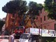 Ventimiglia: abbattimento degli alberi in città, l'Amministrazione conferma che era impossibile mantenerli