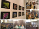 Imperia: 'Sites of Community Interest', presentata la mostra fotografica sul progetto Erasmus del Liceo Amoretti (foto e video) Imperia: 'Sites of Community Interest', presentata la mostra fotografica sul progetto Erasmus del Liceo Amoretti (foto e video)