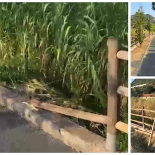 Manutenzione di pista ciclabile e aree pubbliche, SìAmo Camporosso: "Chiediamo maggiore programmazione" (Video) Manutenzione di pista ciclabile e aree pubbliche, SìAmo Camporosso: "Chiediamo maggiore programmazione" (Video)